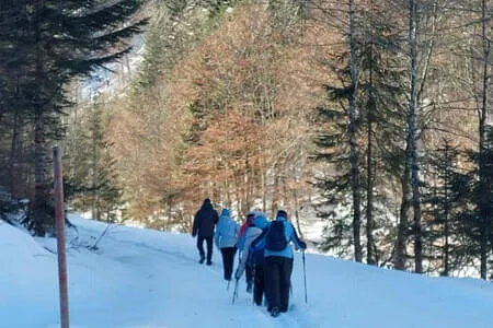 PVÖ OG Wanderung 3.2.26 Bild 17