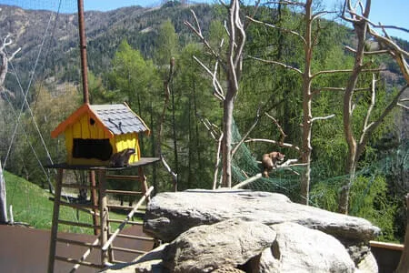 Pustertal - PVÖ -Kirchberg Bild 12
