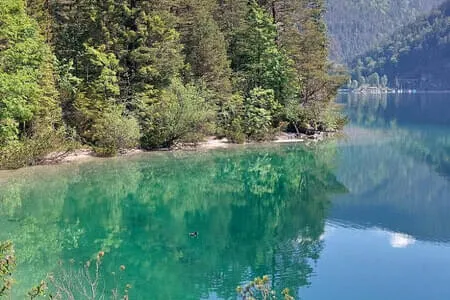 Achensee - Gaisalm 26.05.26 Bild 53