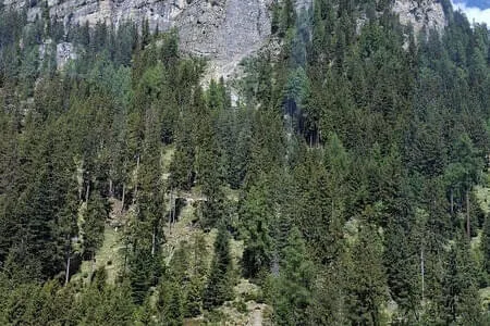 Mayrhofen & Penken PVÖ St. Johann & Kirchdorf Bild 10