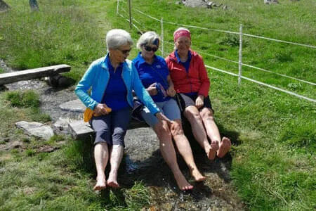 Zillergrund-Bärenbadalm - PVÖ Going Bild 10