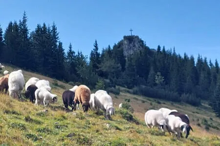 PVÖ Going-Wanderung-Heutal &Unken & Peitingköpfl Bild 10