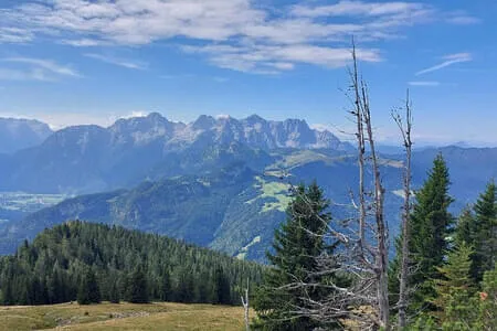 PVÖ Going-Wanderung-Heutal &Unken & Peitingköpfl Bild 12