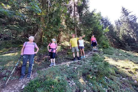 PVÖ Going-Wanderung-Heutal &Unken & Peitingköpfl Bild 3